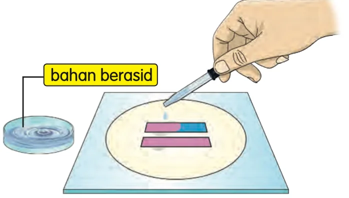 Penitis menitiskan bahan berasid pada kertas litmus biru dan merah; kertas litmus biru berubah menjadi merah