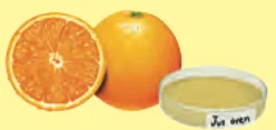 Buah oren dan piring petri berisi jus oren