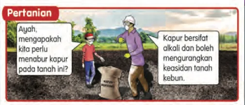 Kad situasi pertanian: seorang bapa menabur kapur pada tanah kebun