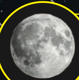 The Moon, grey with craters
