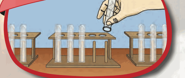Test tubes drying upside down on a rack