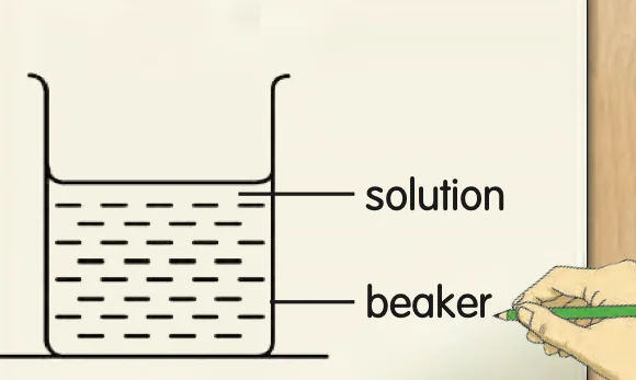 Labelled sketch of a beaker with solution