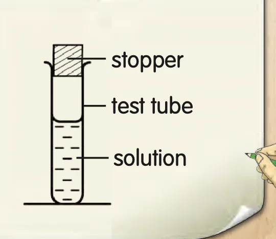 Labelled sketch of a test tube with stopper and solution