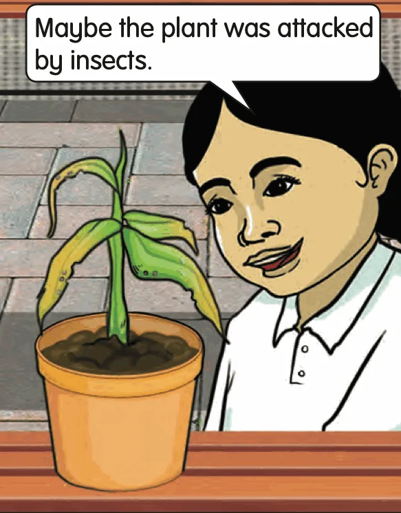 A girl looking at a wilted plant with yellow leaves