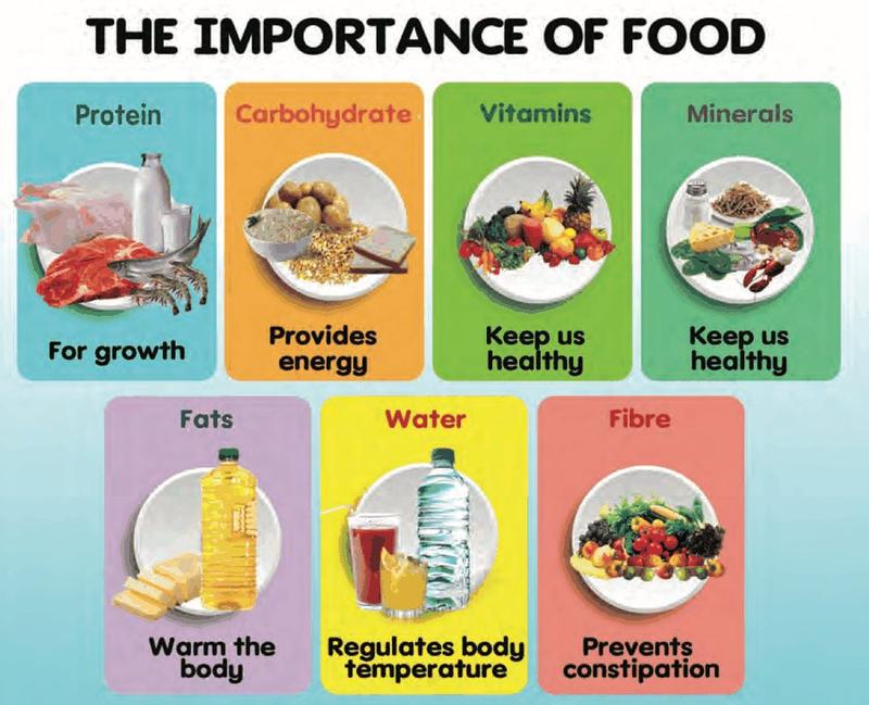 Poster of the seven classes of food and why each is important