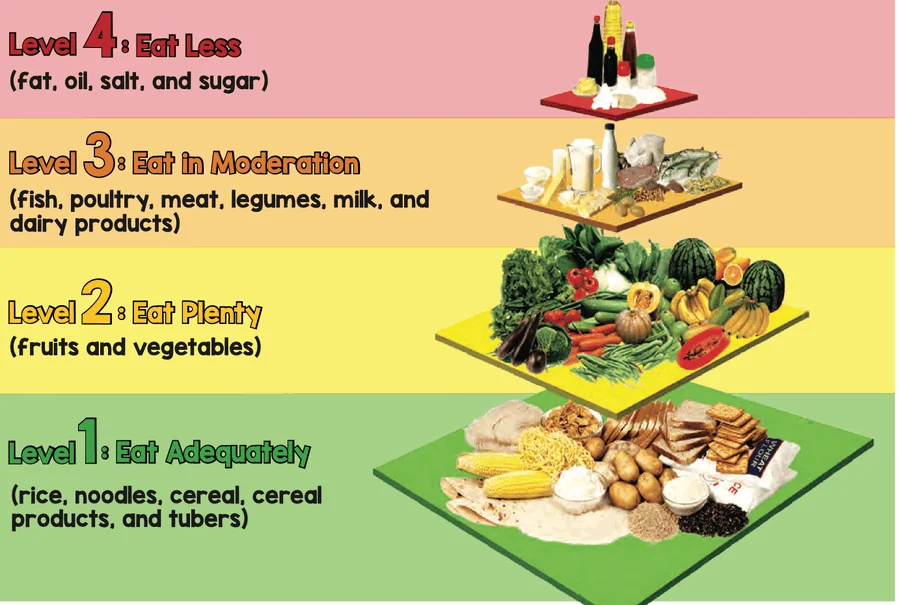 The Malaysian Food Pyramid with four levels