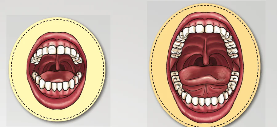 A small mouth with milk teeth and a bigger mouth with permanent teeth