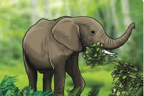 An elephant eating leaves from a bush