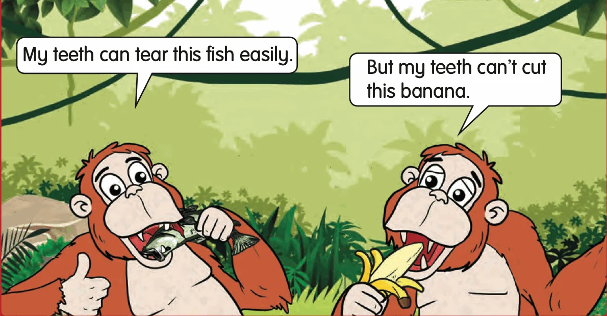 Two cartoon orangutans: one tears a fish, the other cannot cut a banana