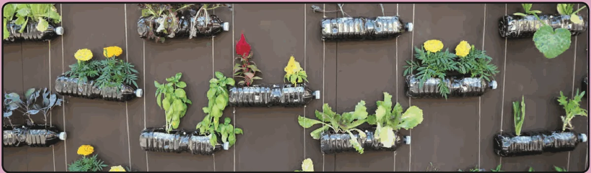 Plants growing in cut plastic bottles hung on a wall