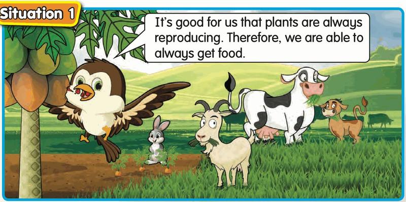 Animals eating fruits, grass and carrots on a farm