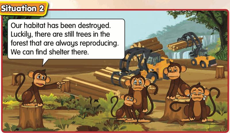 Monkeys sitting among cut trees in a forest