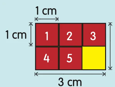 A 3 cm by 2 cm card filled with six numbered 1 cm squares