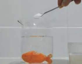 A carrot fish at the bottom of a beaker of water