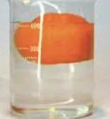 An orange floating in a beaker of water