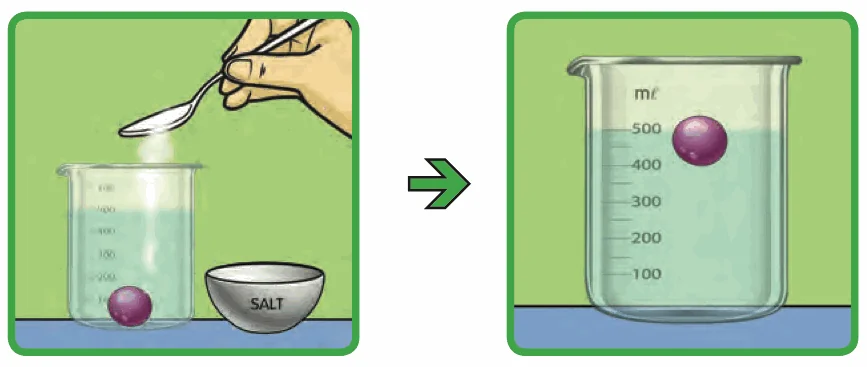 Left: salt being added to a beaker with a grape at the bottom. Right: the grape floats in the salty water.