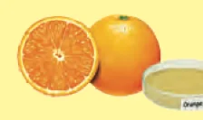 Oranges