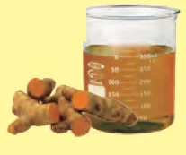 Turmeric and a beaker of yellow turmeric extract