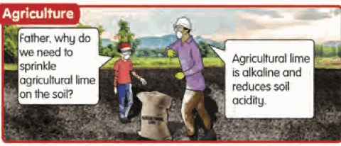 A farmer sprinkles agricultural lime on the soil