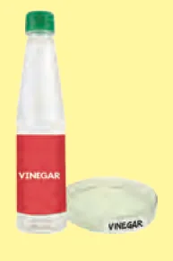 Vinegar