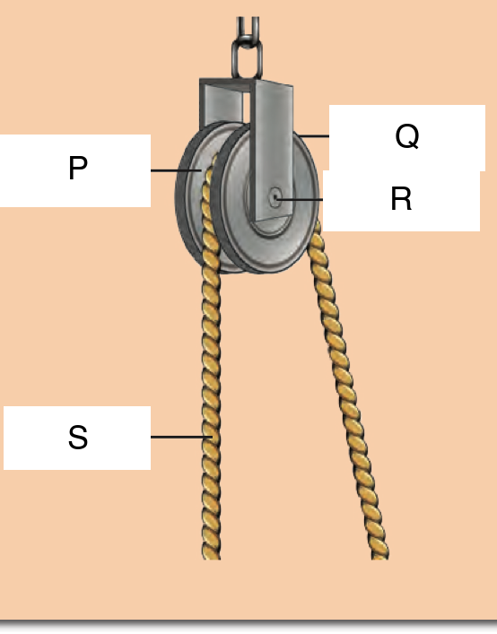 A fixed pulley with four labels: P on the edge of the wheel where the rope sits, Q on the wheel, R at the centre of the wheel, S on the rope