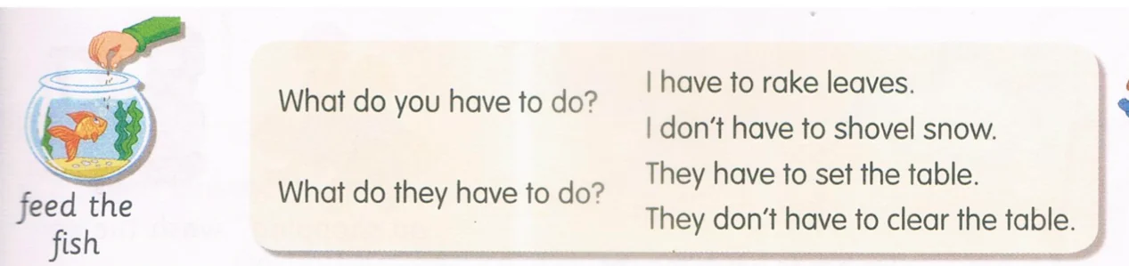Questions and answers: What do you have to do? I have to rake leaves. I don't have to shovel snow. What do they have to do? They have to set the table. They don't have to clear the table.