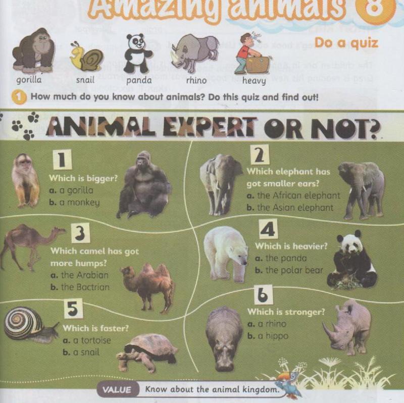 Quiz page with six questions comparing a gorilla and a monkey, two elephants, two camels, a panda and a polar bear, a tortoise and a snail, a rhino and a hippo