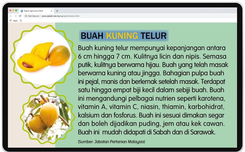 Laman web tentang buah kuning telur dengan gambar buah dan teks ciri-cirinya