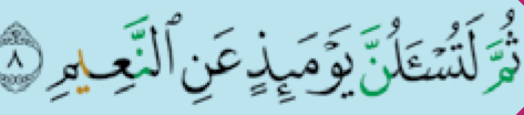 Ayat 8