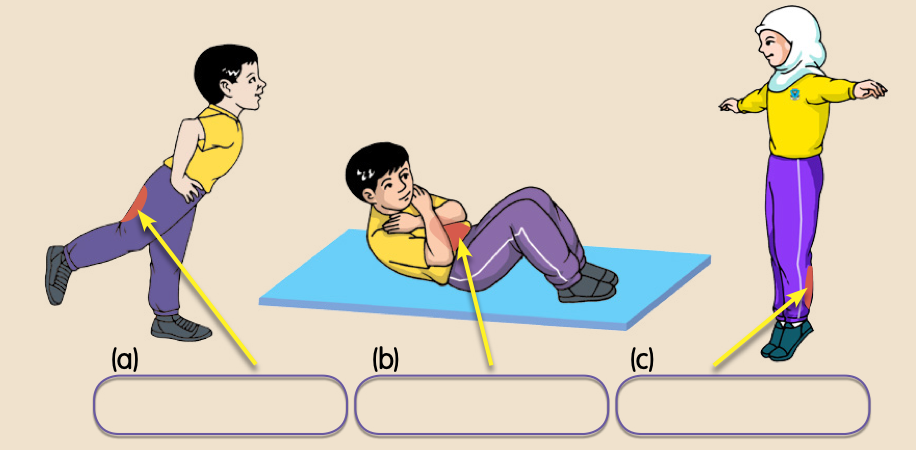 Tiga murid: berdiri dengan satu kaki diangkat ke belakang (a), bangkit tubi (b) dan jengket kaki (c), dengan anak panah ke otot