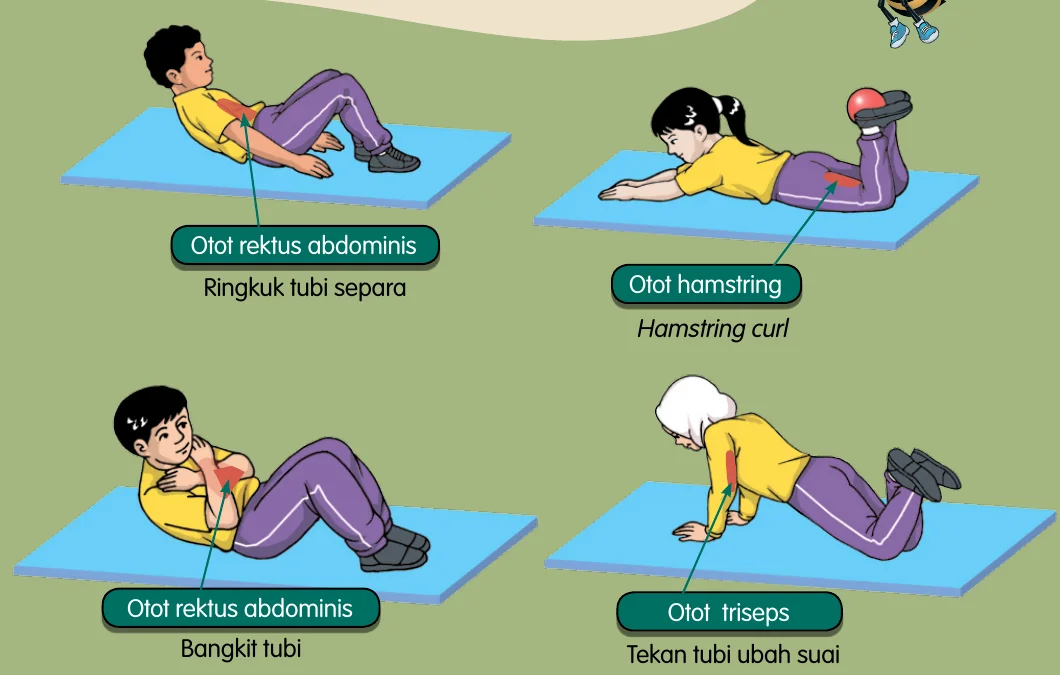 Ringkuk tubi separa, hamstring curl, bangkit tubi dan tekan tubi ubah suai