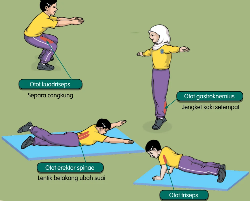 Separa cangkung, jengket kaki setempat, lentik belakang ubah suai dan tekan tubi