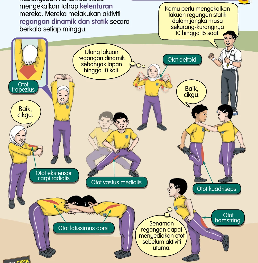 Murid melakukan regangan dinamik dan statik dengan otot dinamakan