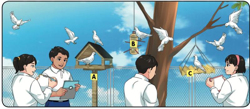 Murid mencatat bilangan burung yang datang ke tiga tempat makan burung bertanda A, B dan C