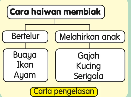 Carta pengelasan cara haiwan membiak: bertelur dan melahirkan anak