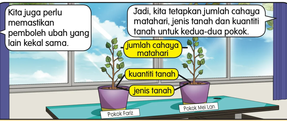 Dua pokok di atas meja dekat tingkap dengan label jumlah cahaya matahari, kuantiti tanah dan jenis tanah