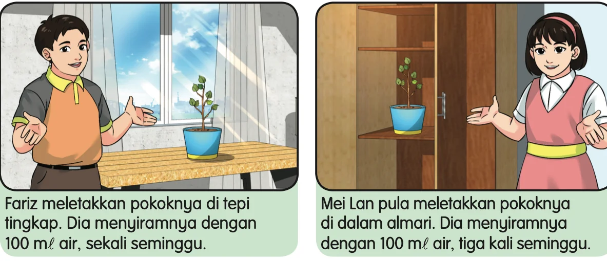 Pokok Fariz di tepi tingkap dan pokok Mei Lan di dalam almari