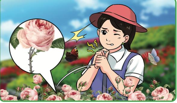 Seorang murid perempuan di taman bunga mawar memegang tangannya sambil mengerutkan muka; gelembung percakapan menunjukkan bunga mawar dan batangnya
