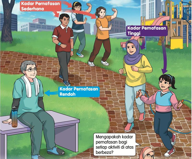 Di taman, seorang lelaki duduk di bangku (kadar pernafasan rendah), tiga orang bergerak perlahan (kadar sederhana) dan dua orang berlari dan melompat tali (kadar tinggi)