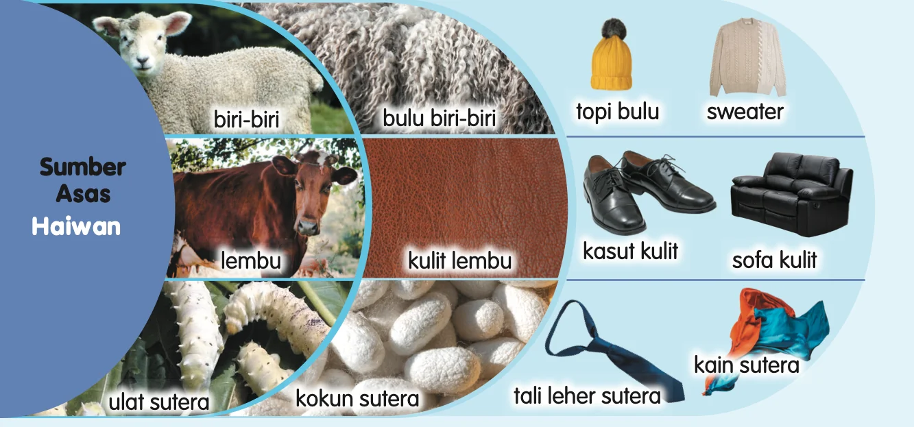 Bahan daripada haiwan dan contoh objeknya
