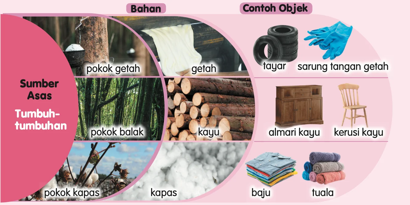 Bahan daripada tumbuh-tumbuhan dan contoh objeknya