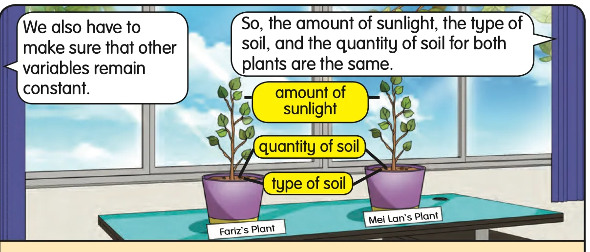 Two potted plants on a table by a window, labelled with amount of sunlight, quantity of soil and type of soil