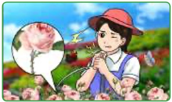 A girl in a rose garden pulls her hand away from the thorny stem of a rose