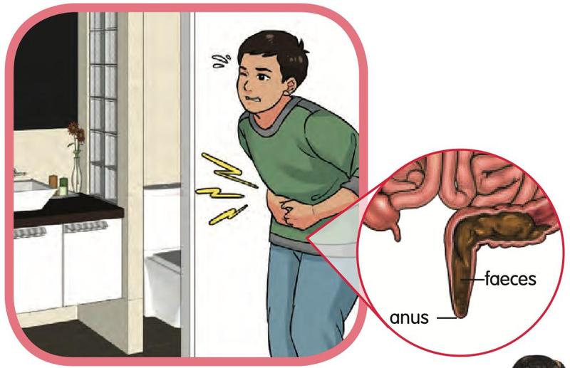 A boy holding his stomach while he needs the toilet, with a close-up of faeces leaving the body through the anus