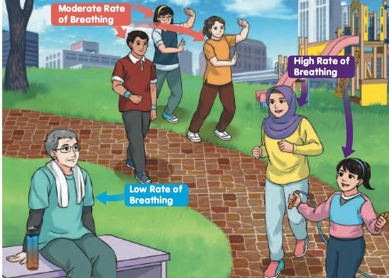 In a park, a man sitting on a bench has a low rate of breathing, people walking have a moderate rate and children running and skipping have a high rate