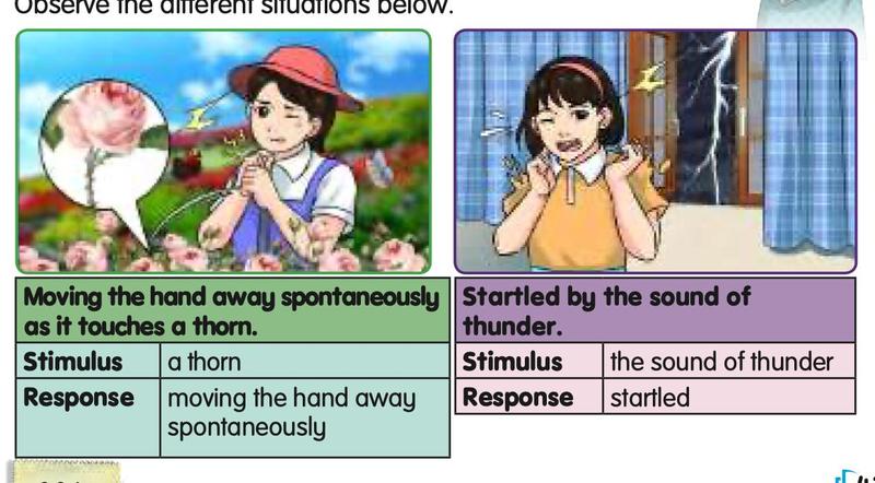 Two examples. A girl touches a thorn and moves her hand away. A girl hears thunder and is startled