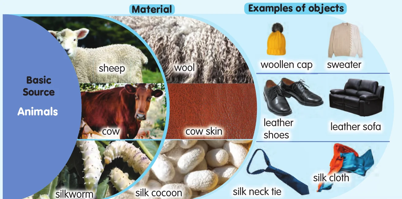 Sheep give wool for caps and sweaters; cows give skin for shoes and sofas; silkworms give silk for ties and cloth