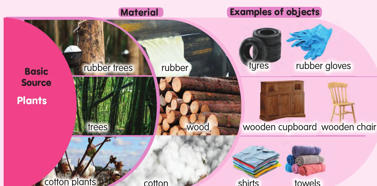 Rubber trees give rubber for tyres and gloves; trees give wood for cupboards and chairs; cotton plants give cotton for shirts and towels