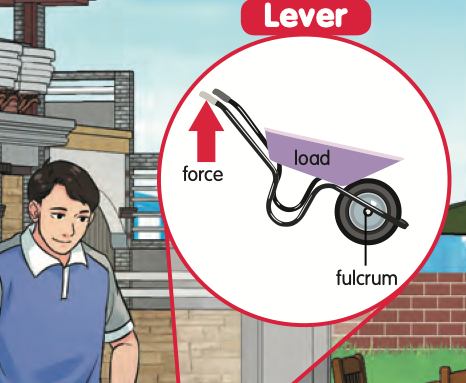 A wheelbarrow with the load in the tray, the force at the handles and the fulcrum at the wheel