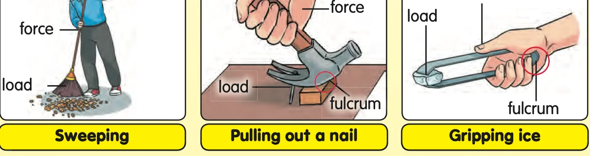 Three levers with load, fulcrum and force labelled: a broom sweeping, a hammer pulling out a nail and tongs gripping ice